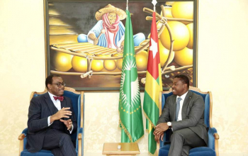 SEM Faure Gnassingbé s'entretient avec le patron de la BAD