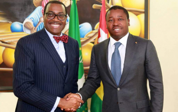 SEM Faure Gnassingbé s'entretient avec le patron de la BAD