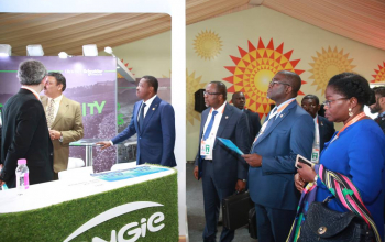 « Faire du soleil une richesse universelle », Faure E. GNASSINGBE à la tribune de l’ASI