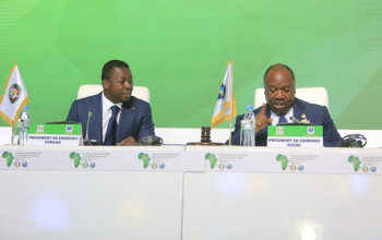 Mutualiser les efforts contre l’insécurité en Afrique