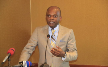 Lancement officiel du Haut Conseil des Togolais de l'Extérieur