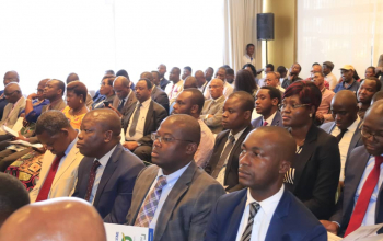 Lancement officiel du Haut Conseil des Togolais de l'Extérieur