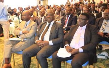 Lancement officiel du Haut Conseil des Togolais de l'Extérieur