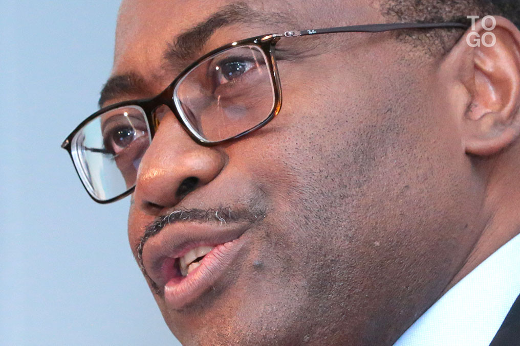  Akinwumi Adesina 