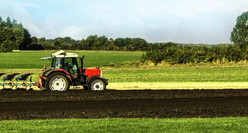 Le secteur agricole a perdu 119 000 emplois en 2016