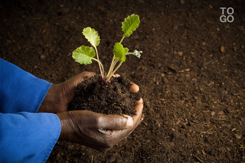  Développement de la production agricole 